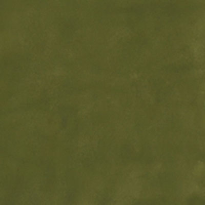 Moss