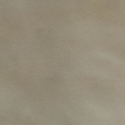 Turtledove