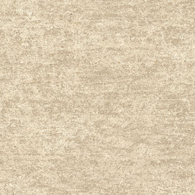 Camel Rugged